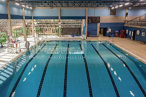 La piscine Pierre-Lorange fera l'objet de travaux majeurs. Crédit : Mélanie Dusseault