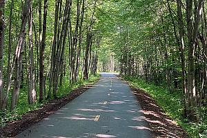 Ouverture de la piste cyclable entre Saint-Jean-Chrysostome et Breakeyville. Crédit : Ville de Lévis