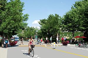 Le CEUM mandaté pour la création d'un réseau de quartiers verts pancanadien