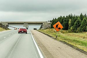 Un regroupement propose une nouvelle approche pour préserver les routes québécoises