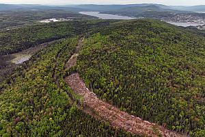 Gaspé octroie l’un des plus gros contrats de son histoire. Crédit : Ville de Gaspé