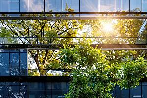 BDQ réunit l’industrie autour de la biodiversité dans l’environnement bâti. Crédit : BDQ
