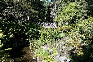 Les Jardins de Métis s'ouvrent sur le Saint-Laurent
