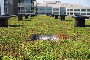 Sommet sur les toits verts