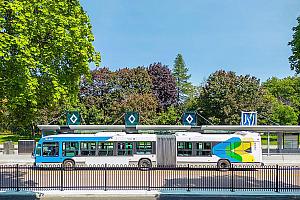 La STM débute les travaux de prolongement du SRB Pie-IX entre l’avenue Pierre-De Coubertin et la rue Notre-Dame Est. Crédit : STM