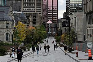 L'Université McGill annonce a création de l'Institut de recherche Sylvan Adams. Crédit : Alessio Patron (Unsplash) en sciences du sport de la Faculté des sciences de l'éducation.  