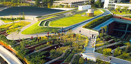 La ferme de toit biologique de l’Université Thammasat - Photo : Panoramic Studio / LANDPROCESS